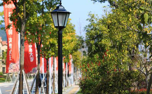 装金川庭院灯避坑指南:庭院路灯防雷接地要点 装金川庭院灯避坑指南:庭院路灯防雷接地要点